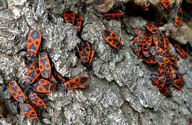 Dating-Forscher mit „Common Sense“ – jetzt stimmt die Richtung