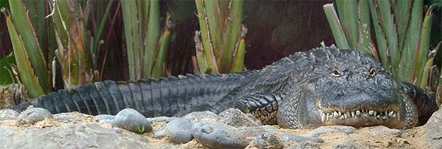 Klinisch reine Liebe – „sauberes“ Kennenlernen ohne Sex?