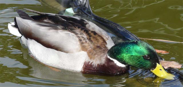Auf zur Frühlingsoffensive