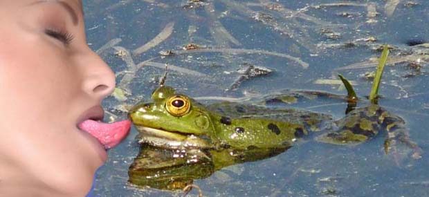 Heute: Frosch küssen oder Schwein küssen