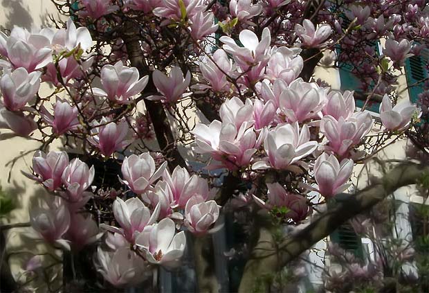 Frühjahrs-Offensive für das Liebes- und Lebensglück