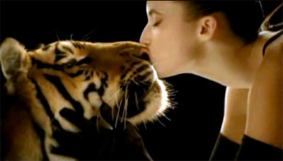 Touch me Tiger