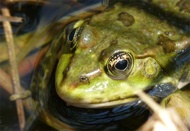 Oh, cool – sie hasst Online-Dating!